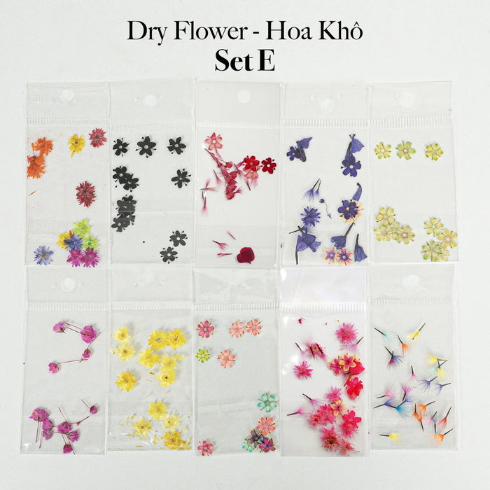 HOA KHÔ - DRY FLOWERS NAIL DESIGN | Pack 10 Mix