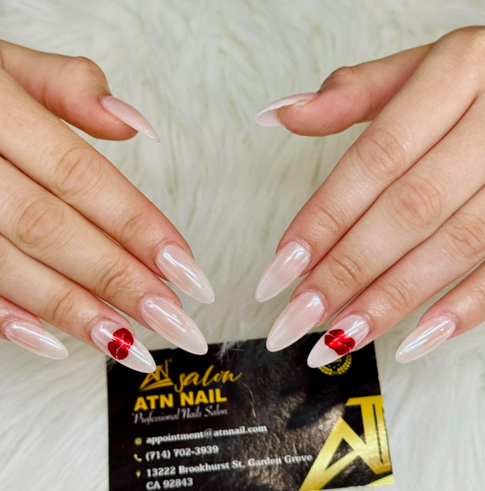 ATN New Base Coat 15ml - 250ml – Strong Adhesion Gel Base