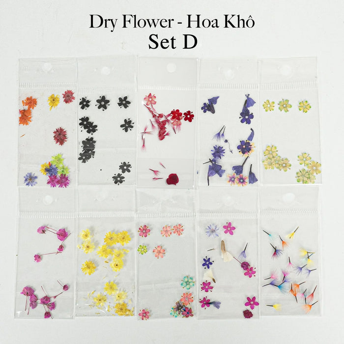 HOA KHÔ - DRY FLOWERS NAIL DESIGN | Pack 10 Mix