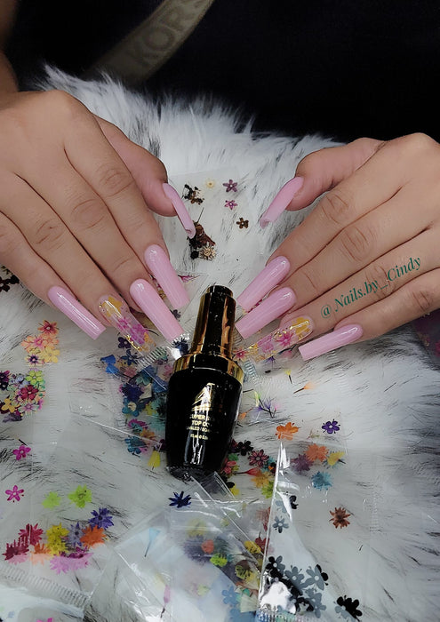 HOA KHÔ - DRY FLOWERS NAIL DESIGN | Pack 10 Mix
