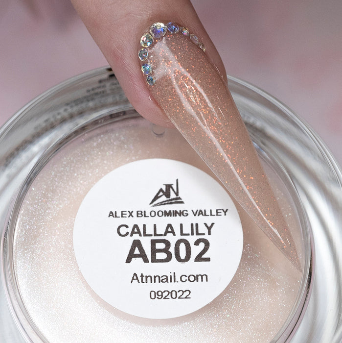 ALEX Blooming Valley NUDE Collection – 18 Colors Acrylic Powder Set for Nails, Nude Tones, Professional Nail Art Decoration