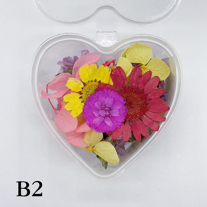 Set 13 Mixed Dried Flowers