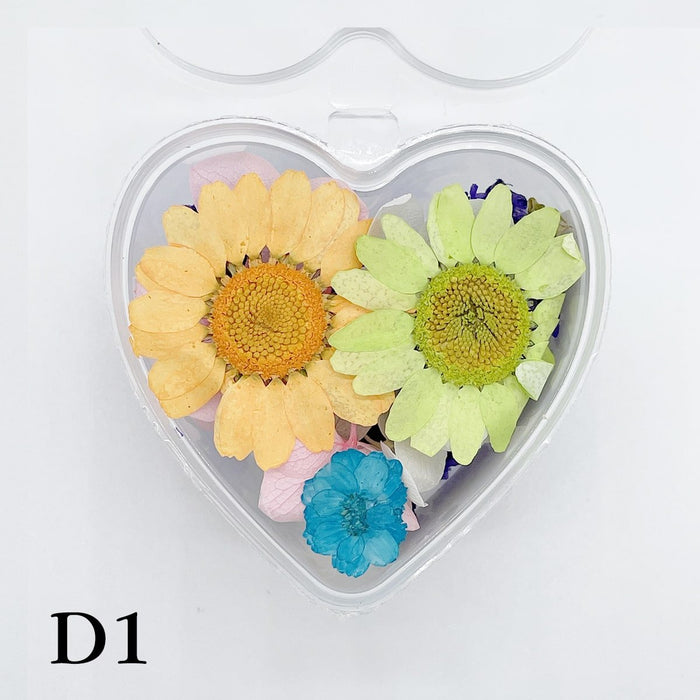 Set 13 Mixed Dried Flowers