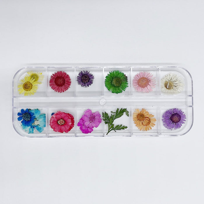 REAL DRIED FLOWERS