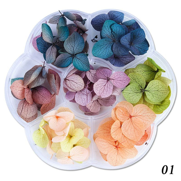 DIY Dry Flowers - Hydrangea Flowers