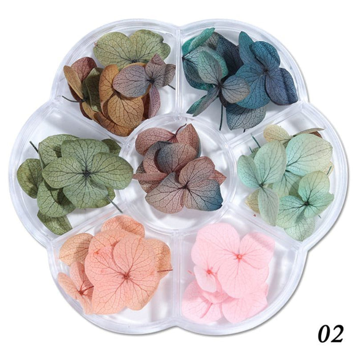DIY Dry Flowers - Hydrangea Flowers
