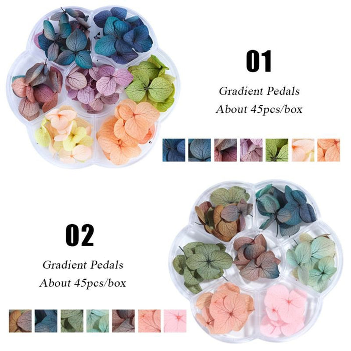 DIY Dry Flowers - Hydrangea Flowers