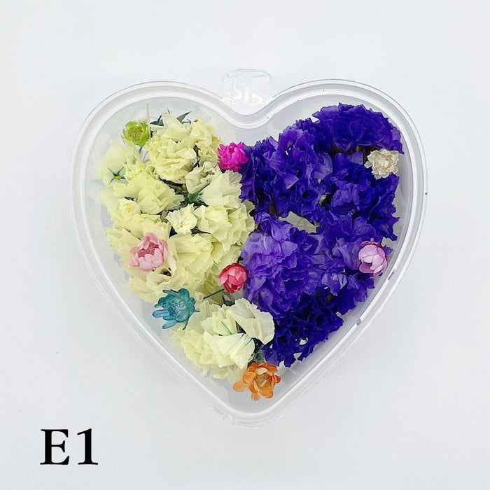 Set 13 Mixed Dried Flowers