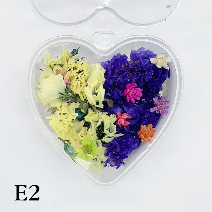 Set 13 Mixed Dried Flowers