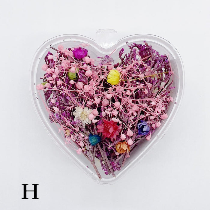 Set 13 Mixed Dried Flowers