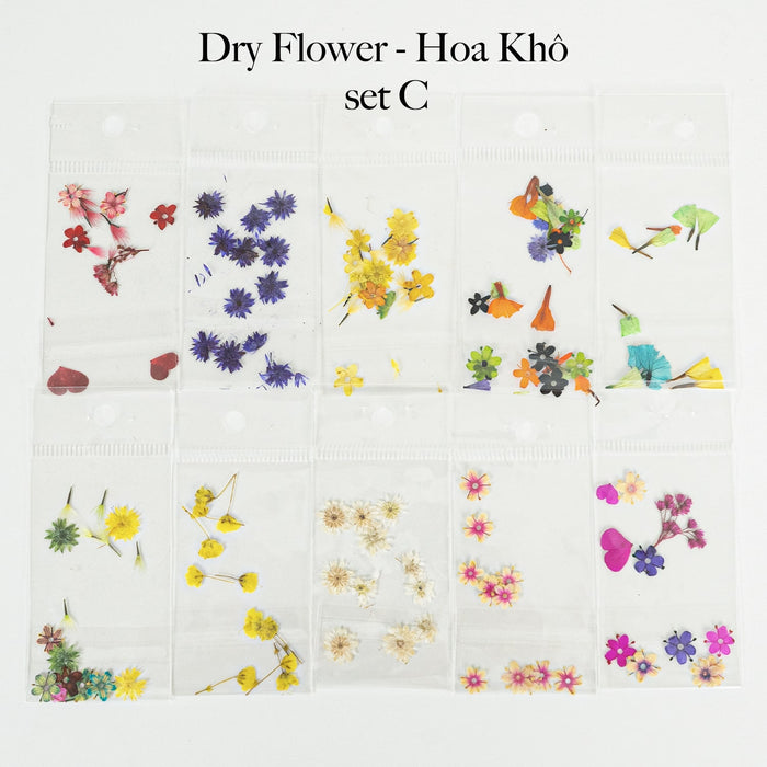 HOA KHÔ - DRY FLOWERS NAIL DESIGN | Pack 10 Mix