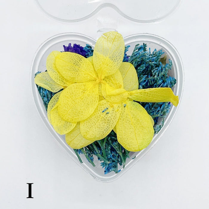 Set 13 Mixed Dried Flowers