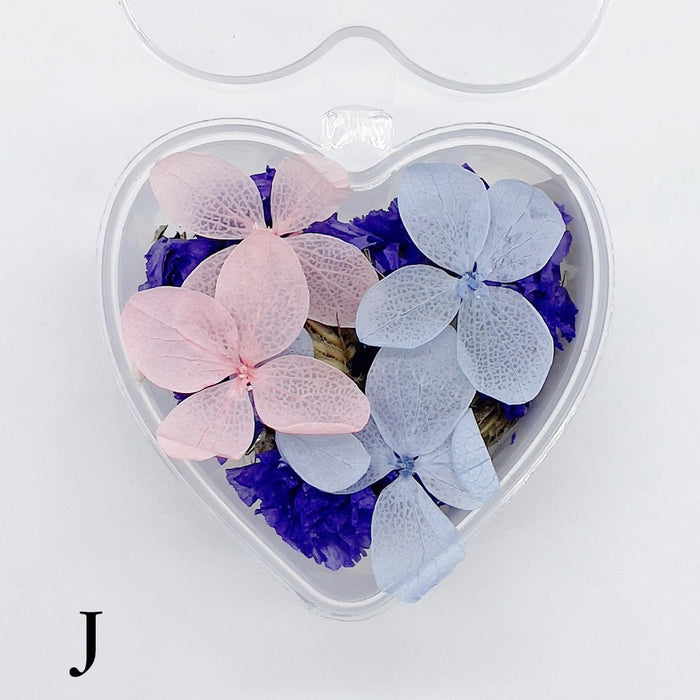 Set 13 Mixed Dried Flowers
