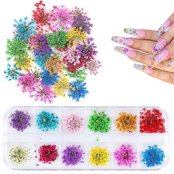 REAL DRIED FLOWERS