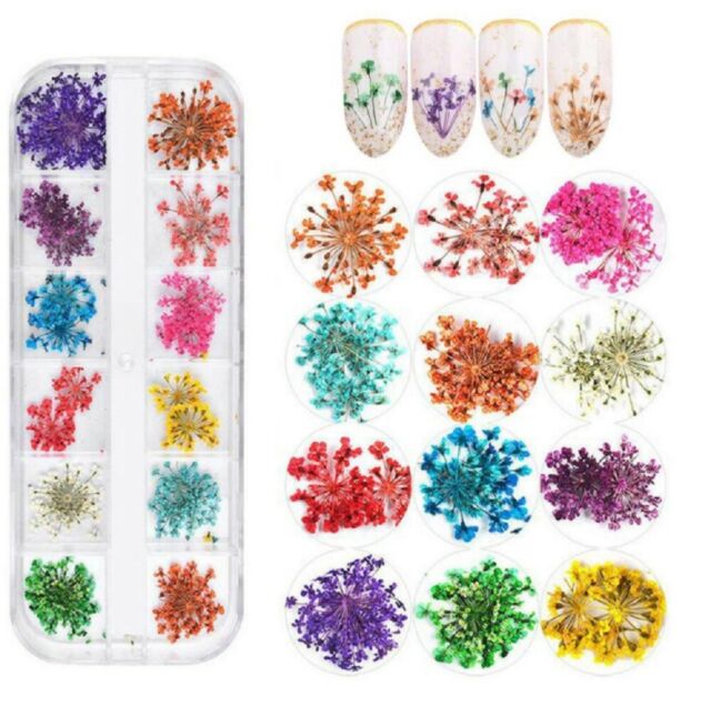 REAL DRIED FLOWERS