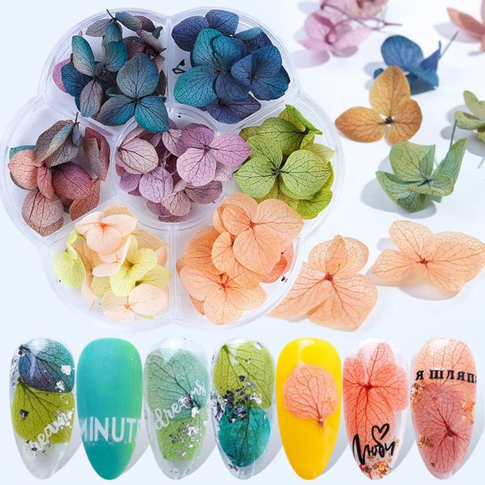 DIY Dry Flowers - Hydrangea Flowers