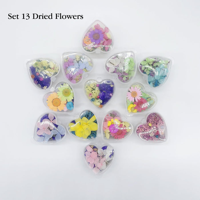 Set 13 Mixed Dried Flowers