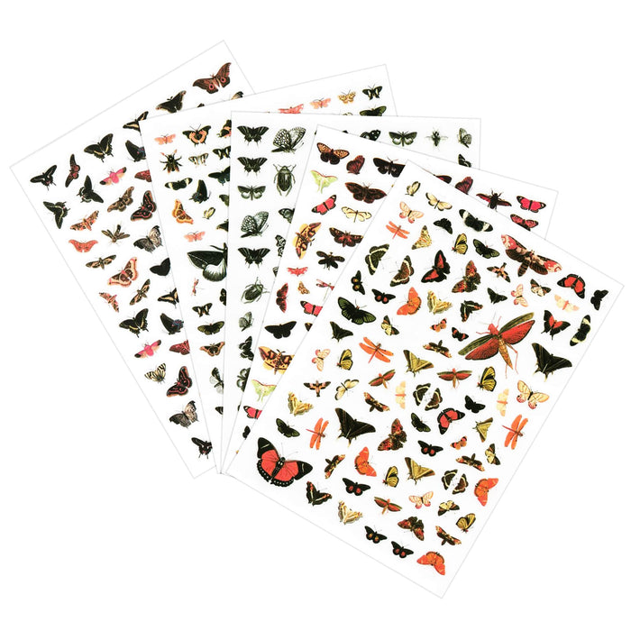 STICKER - BUTTERFLY | SET 5 PCS