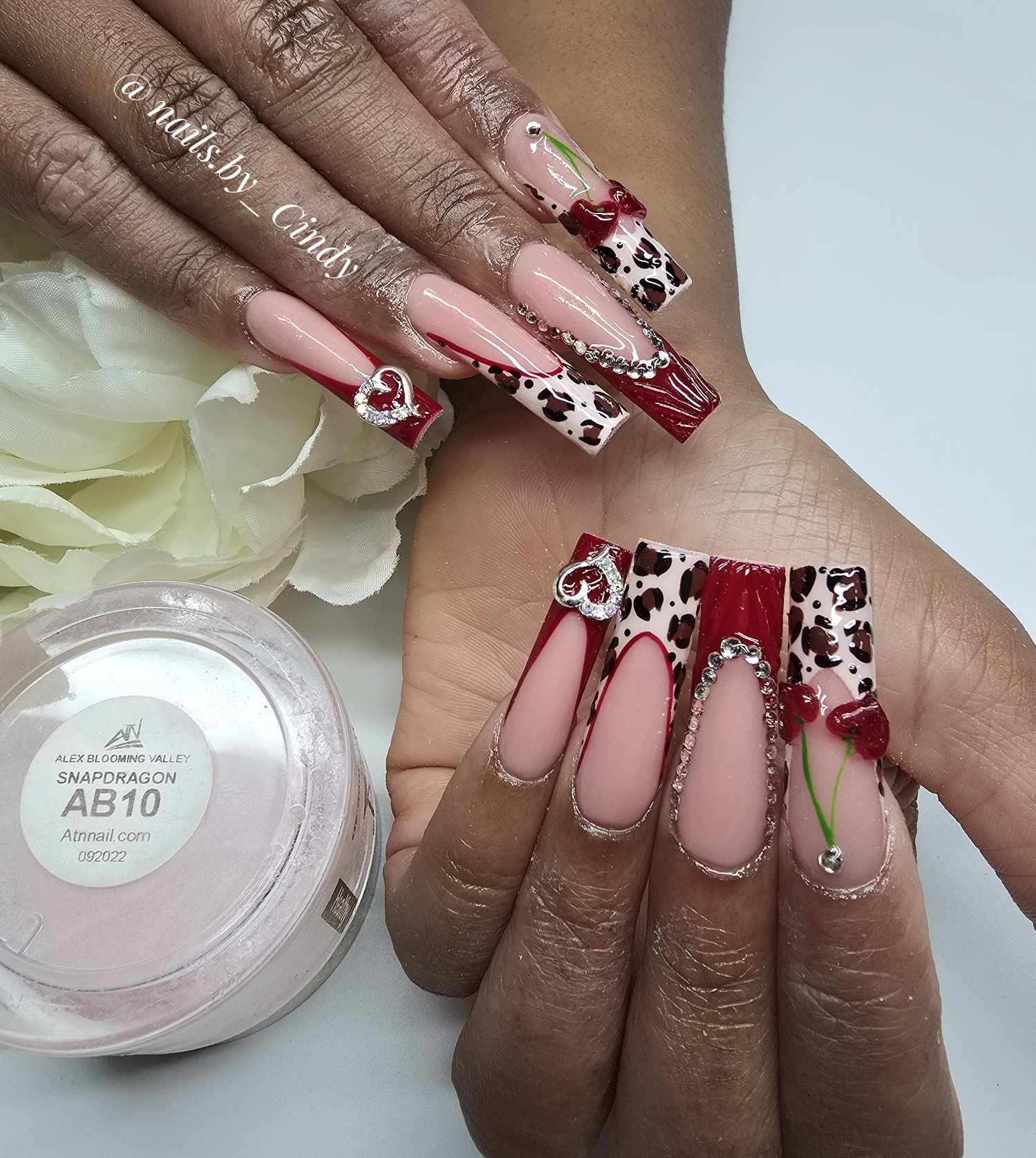 Alex Blooming Valley Nude Acrylic Powder – Set AB 18 Colors