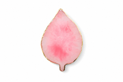 Leaf-Shaped Resin Nail Art Palette