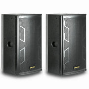 ATN LS-12ES Professional Karaoke Speaker