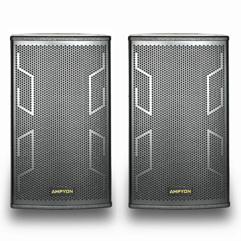 ATN LS-12ES Professional Karaoke Speaker