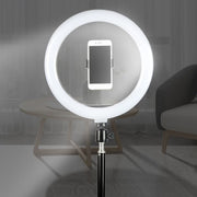 Ring Fill Light