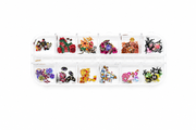 Paper Sequins – Disney Characters, Gucci, LV, D&G, Dior