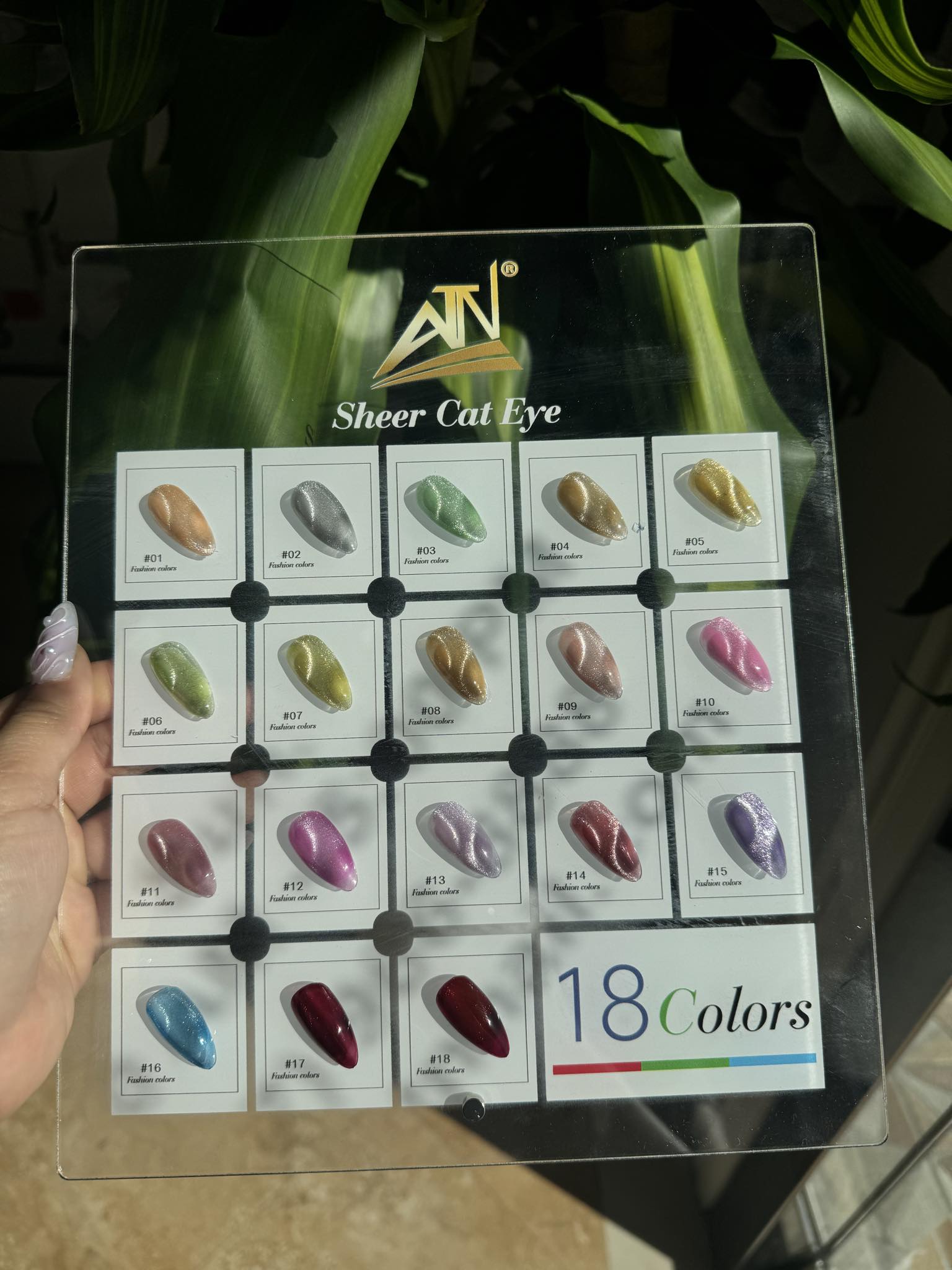ATN Sheer Cat Eye - Set 18 Colors