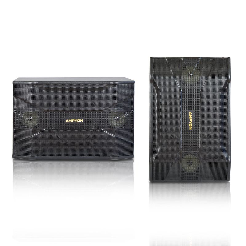 Ampyon KSX-10 Karaoke Speaker