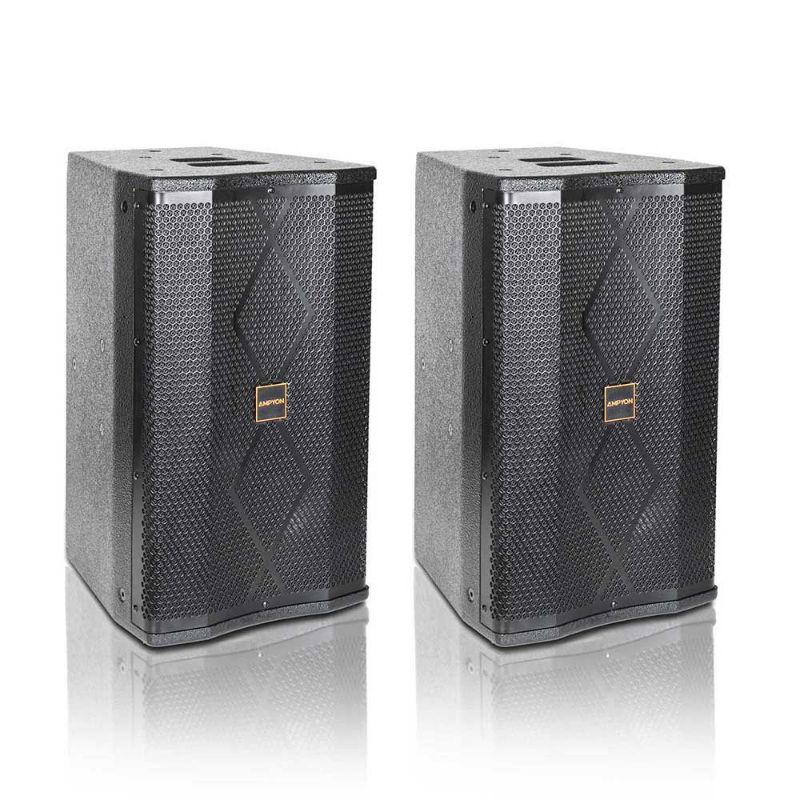 Ampyon LS-10 Professional Karaoke Speaker