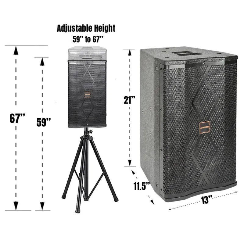 Ampyon LS-10 Professional Karaoke Speaker