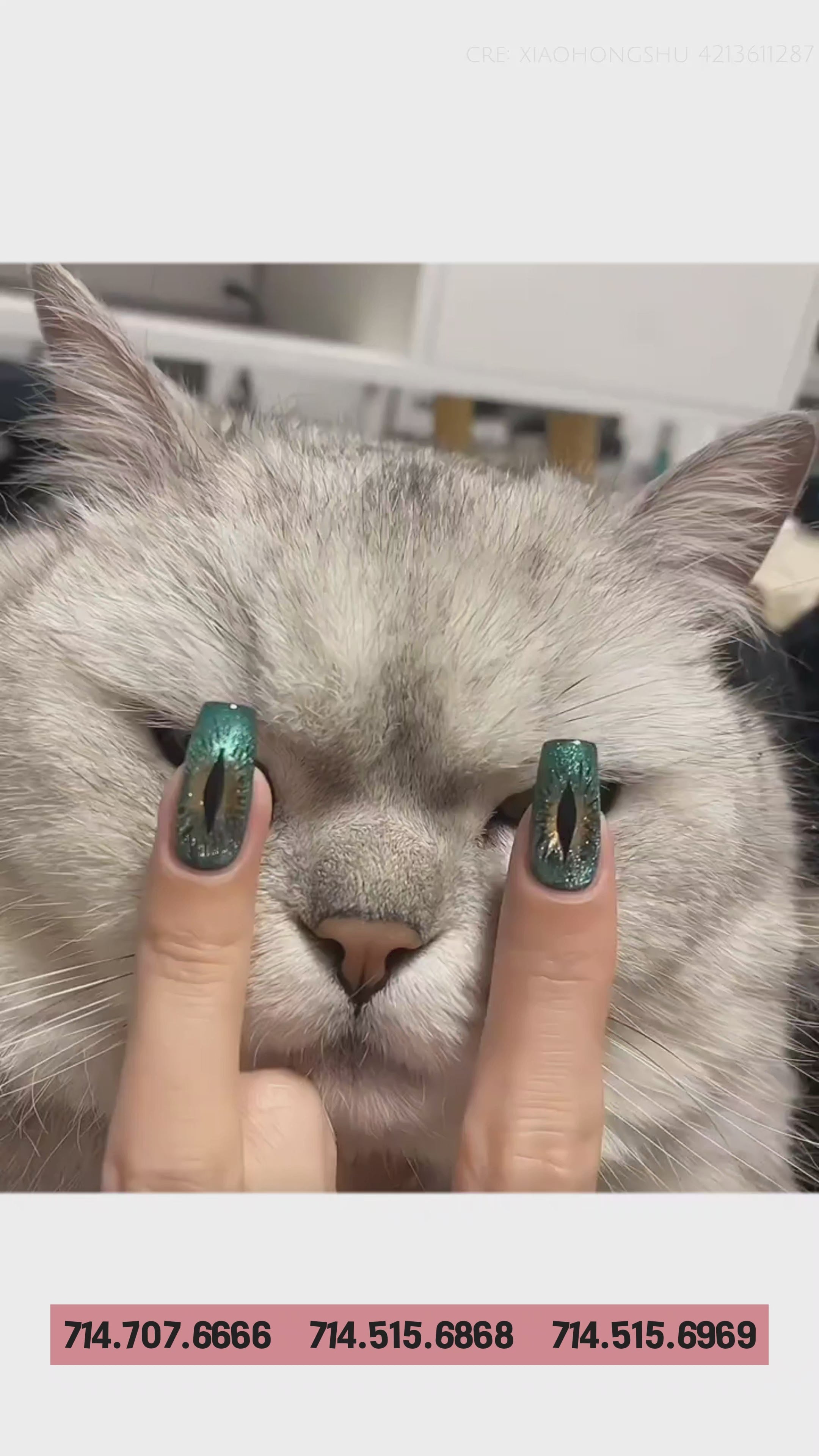 Load video: ATN Sheer Cat Eye - Set 18 Colors