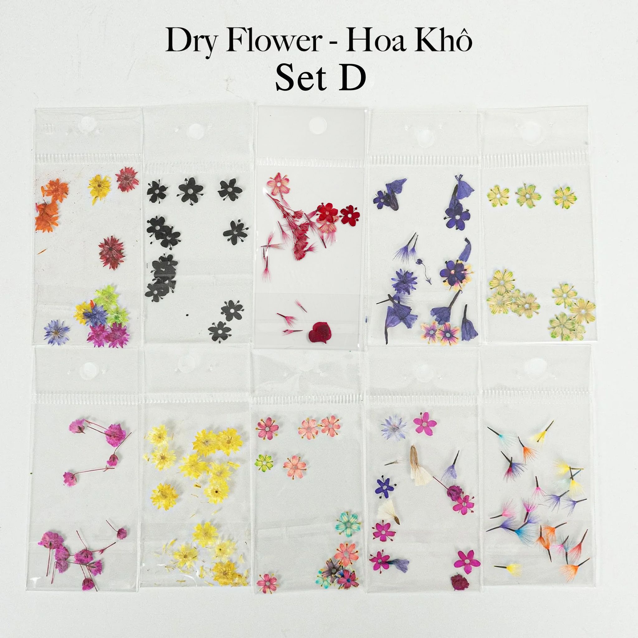 HOA KHÔ - DRY FLOWERS NAIL DESIGN | Pack 10 Mix