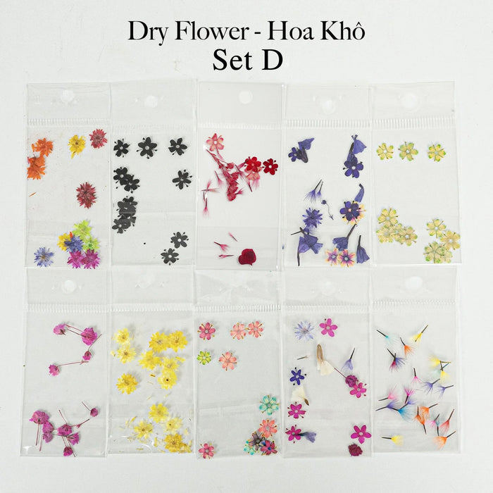 HOA KHÔ - DRY FLOWERS NAIL DESIGN | Pack 10 Mix