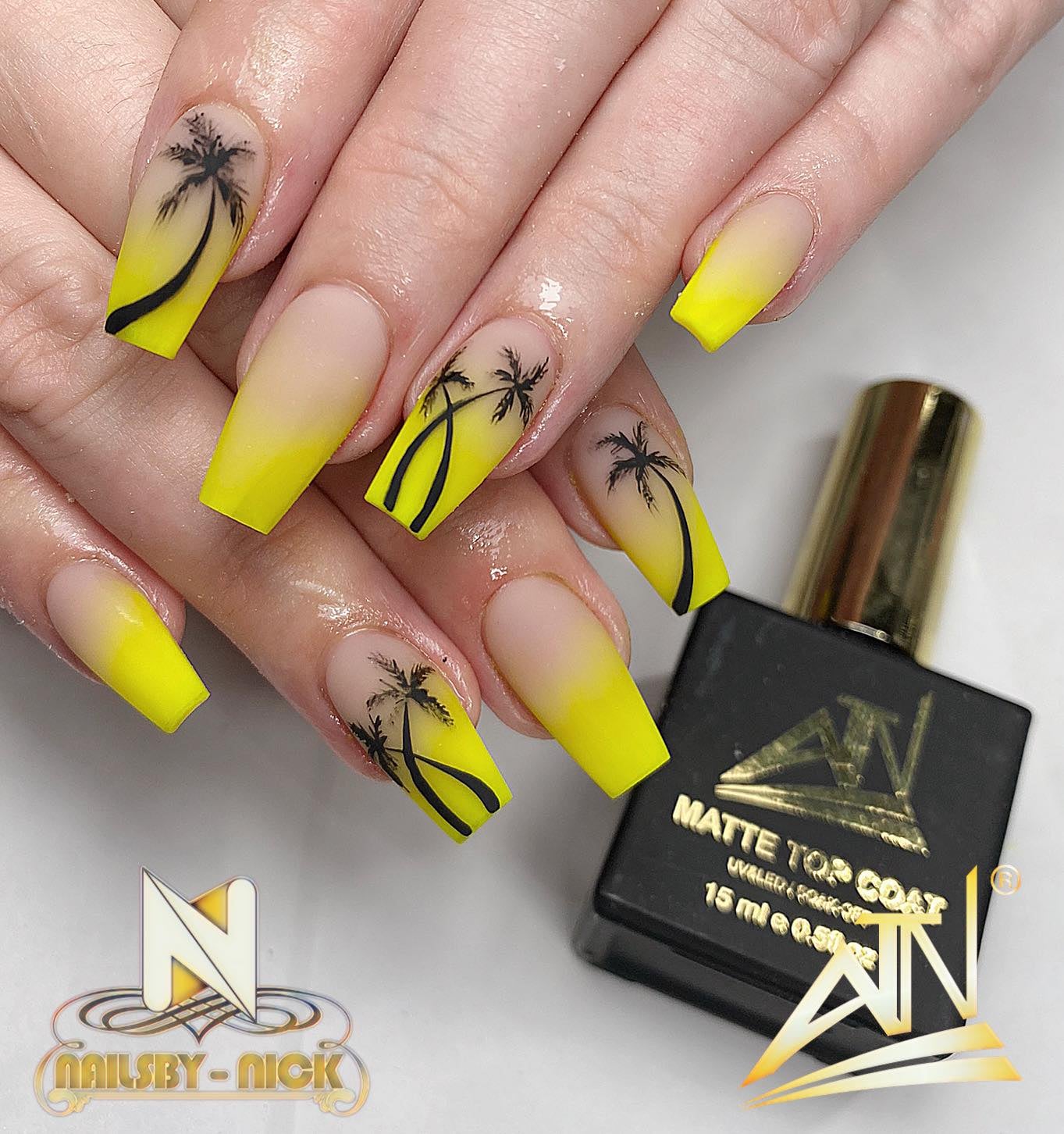 ATN Easy Painting Gel
