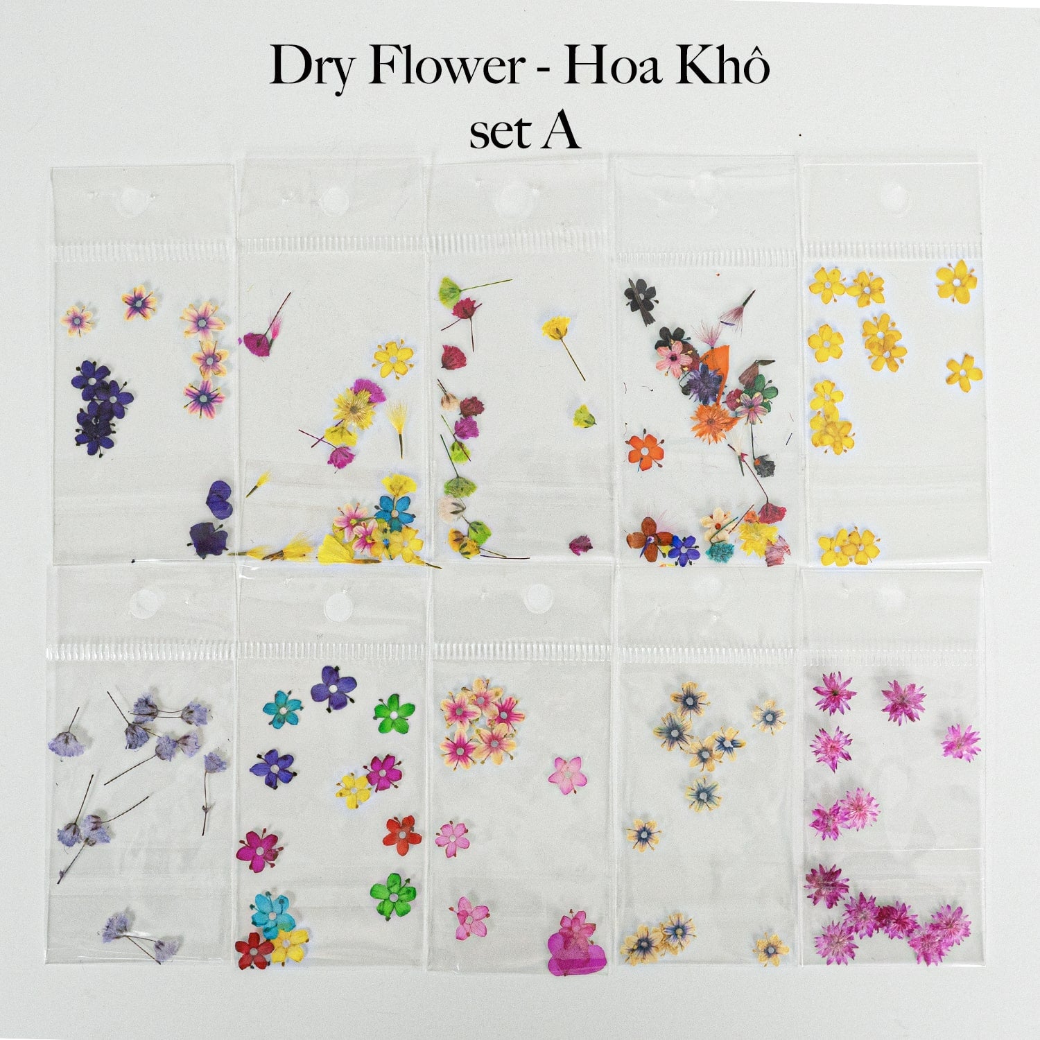HOA KHÔ - DRY FLOWERS NAIL DESIGN | Pack 10 Mix