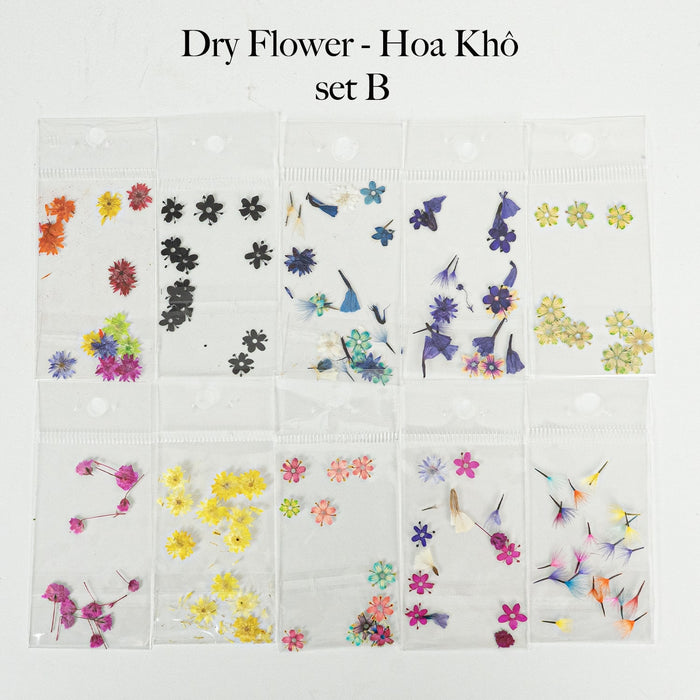 HOA KHÔ - DRY FLOWERS NAIL DESIGN | Pack 10 Mix