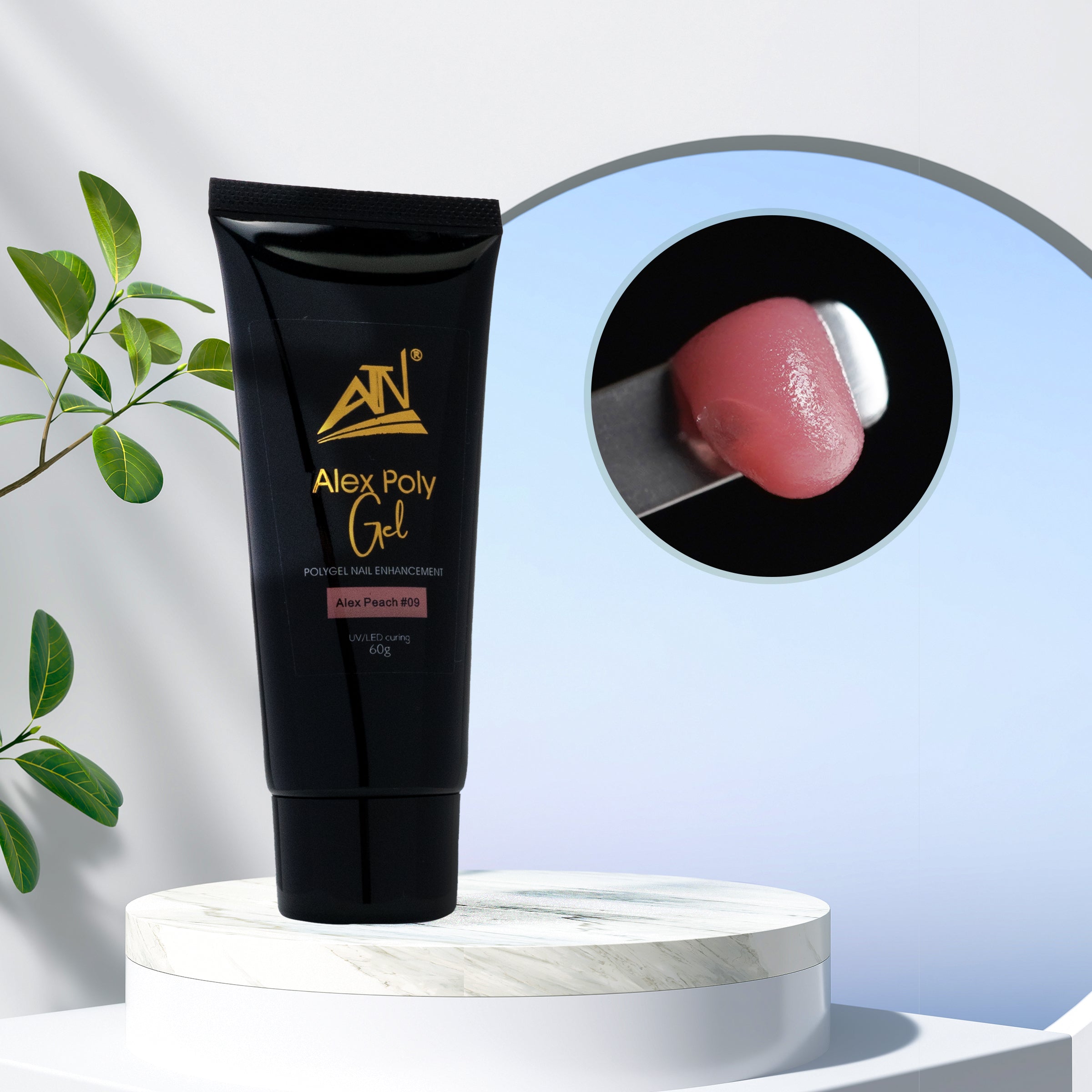 ALEX POLY GEL - 12 MÀU