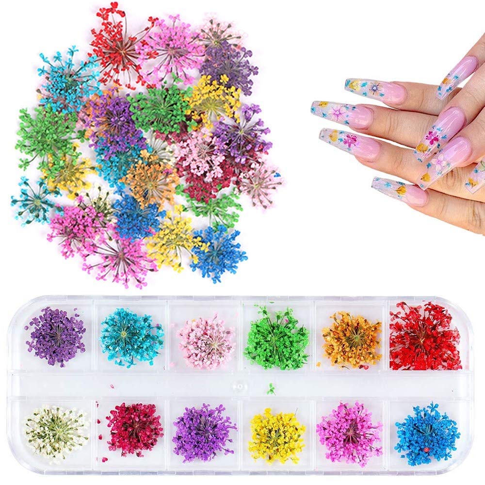 REAL DRIED FLOWERS