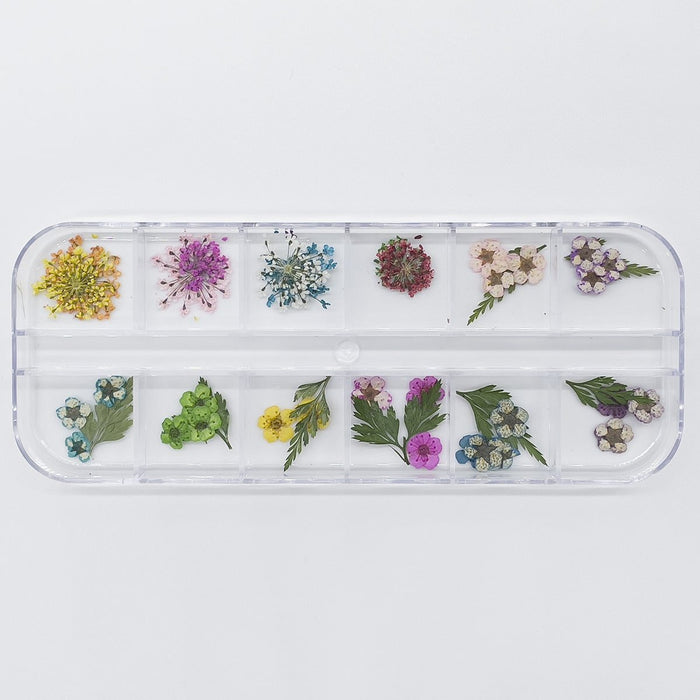 REAL DRIED FLOWERS