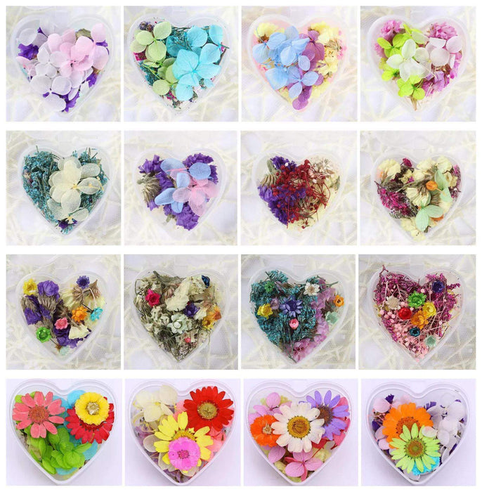 Set 13 Mixed Dried Flowers