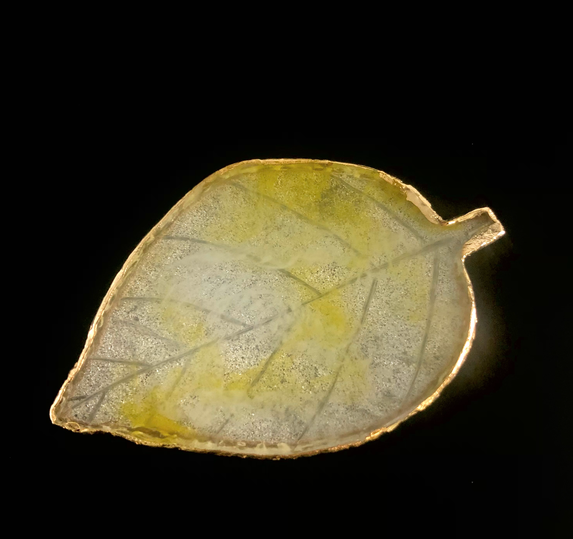 Leaf & Round Shapes Painting Plates