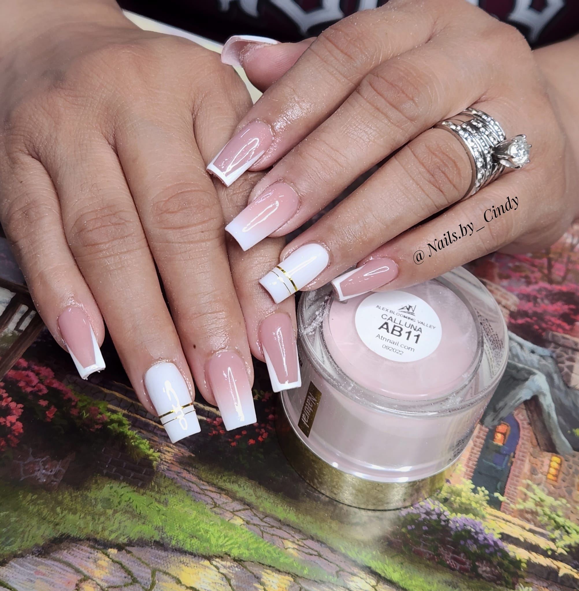 Alex Blooming Valley Nude Acrylic Powder – Set AB 18 Colors
