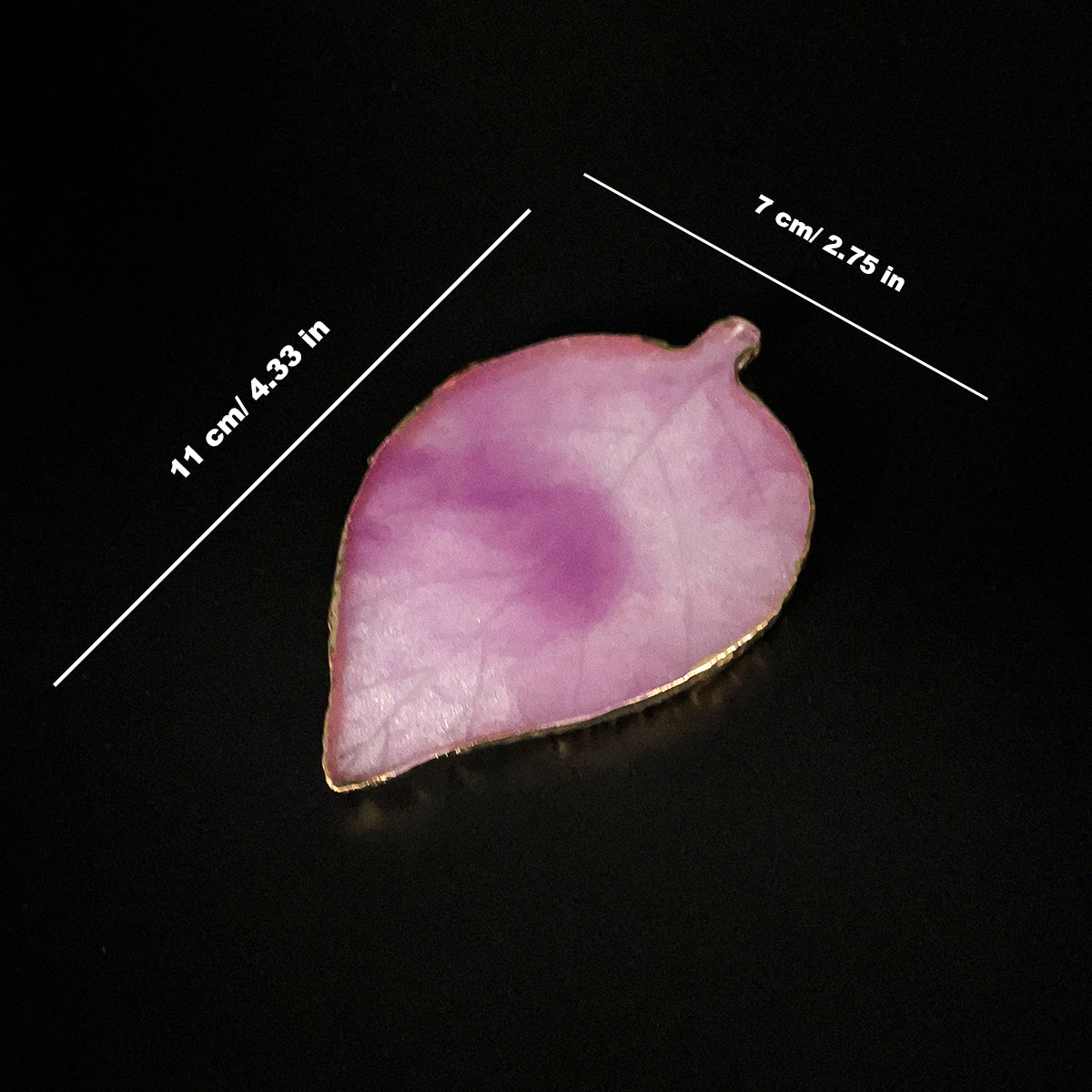 Leaf & Round Shapes Painting Plates