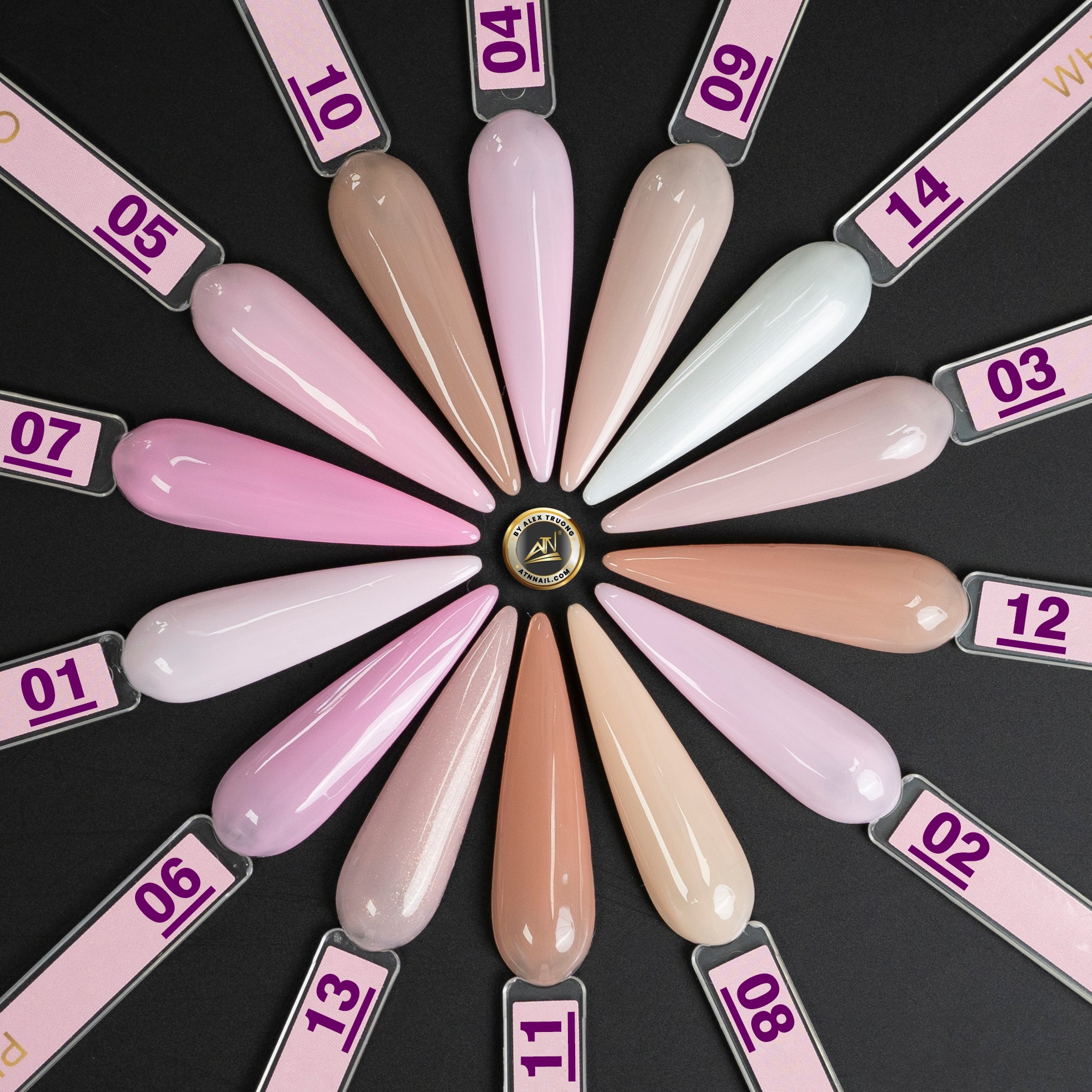 ATN Overlay Natural Pink 3 TRONG 1 - 14 Màu