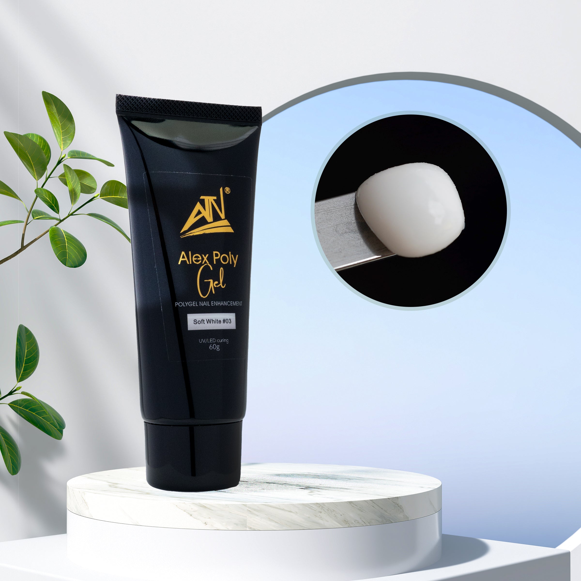 ALEX POLY GEL - 12 MÀU