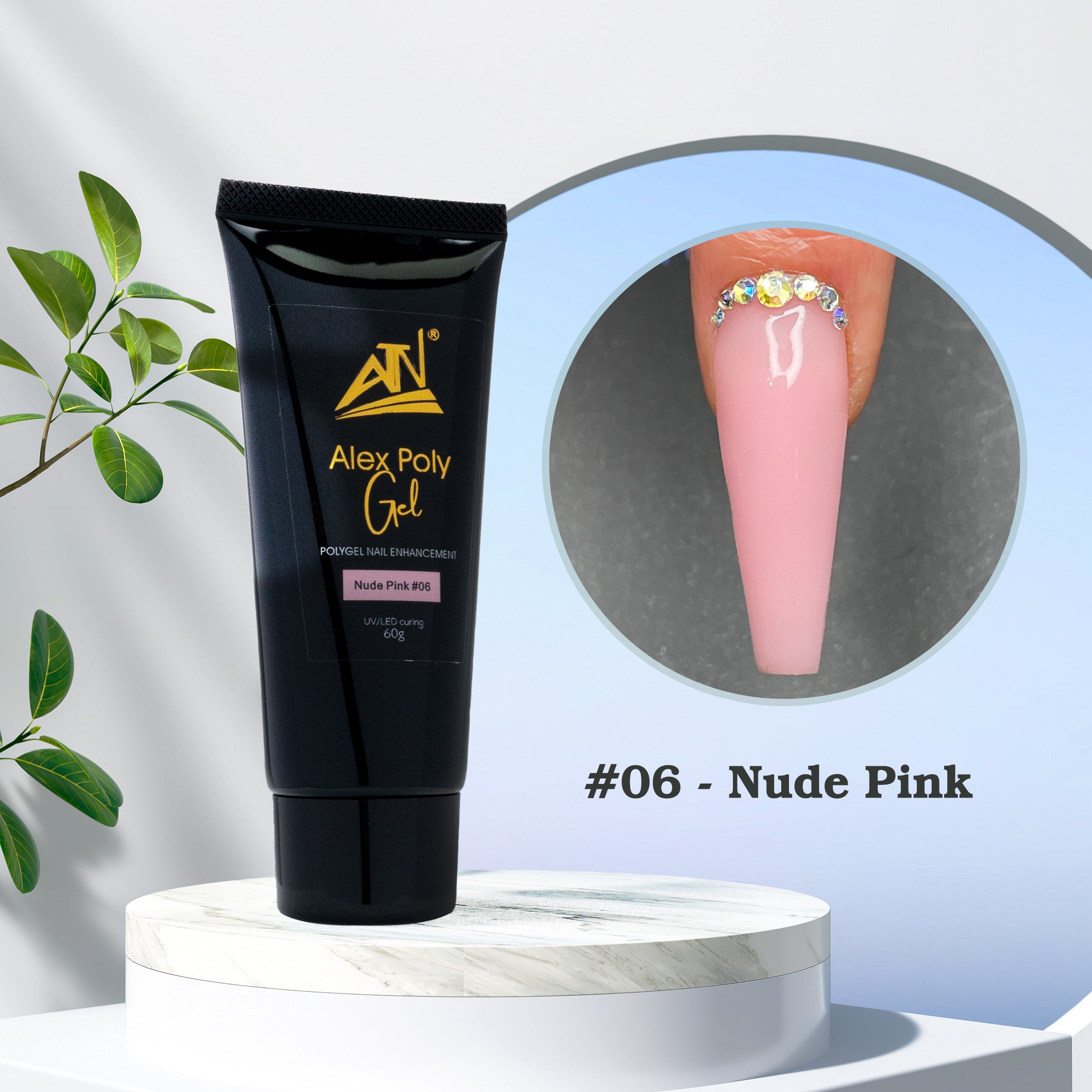 ALEX POLY GEL - 12 MÀU