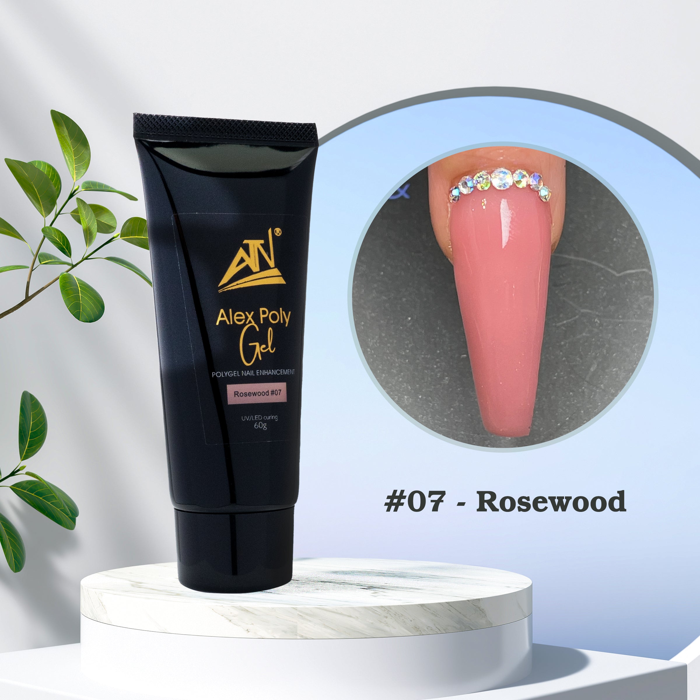 ALEX POLY GEL - 12 MÀU