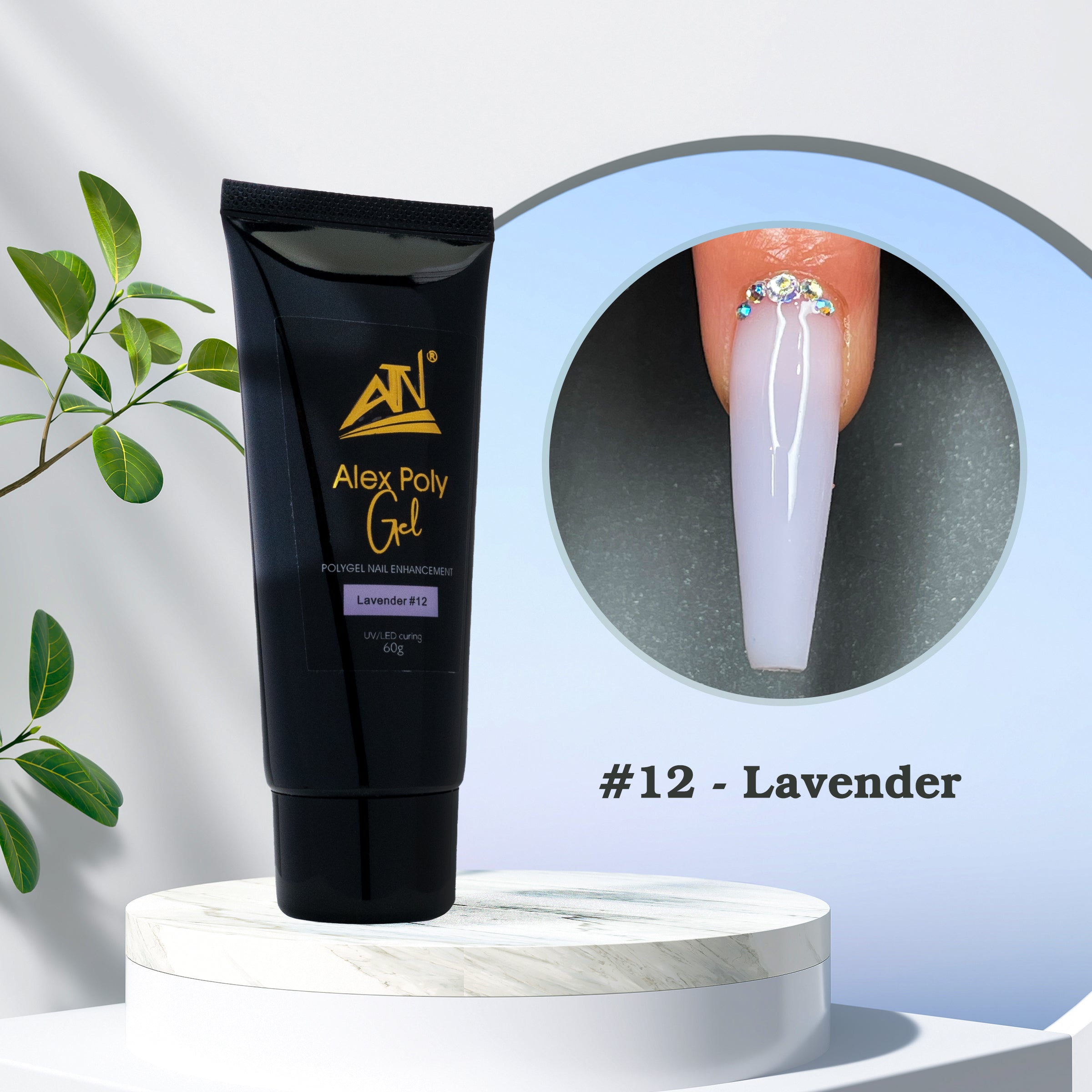 ALEX POLY GEL - 12 MÀU